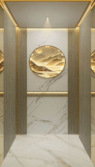 CHRYCE Home Lift 9