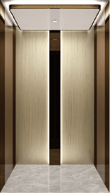 CHRYCE Home Lift 10