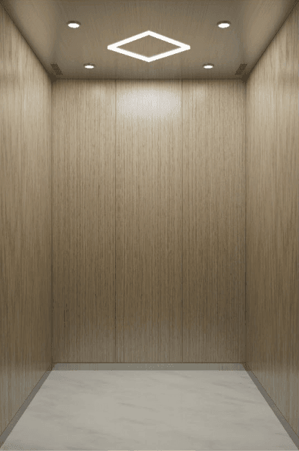 CHRYCE Passenger Elevator 2