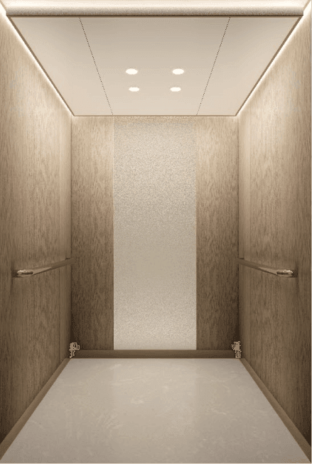 CHRYCE Passenger Elevator 6